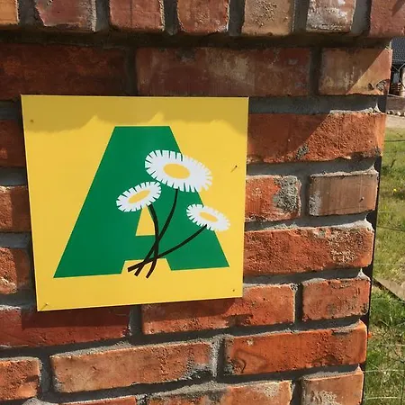 Ptasia Osada Dom Ohar
