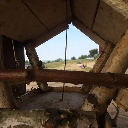 Ptasia Osada Dom Ohar Tatil Evi Gardna Wielka